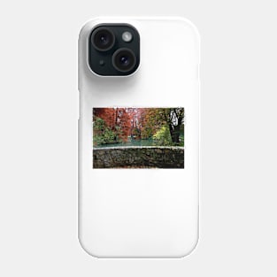 Autumn in the park Phone Case