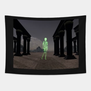 The Virtual Visitor Tapestry