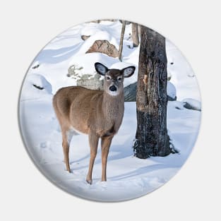 White-tailed Deer Pin