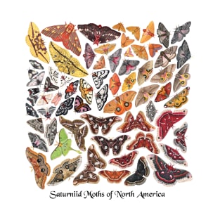 Saturniid Moths of North America T-Shirt