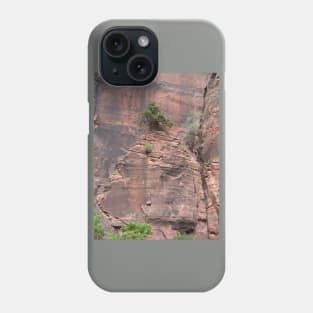 Bonsai In Rock Wall Phone Case