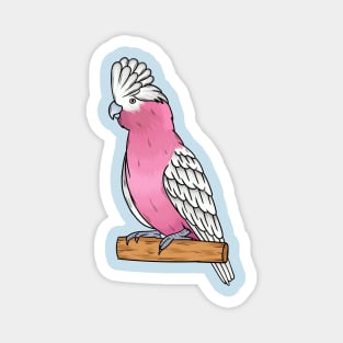 Galah bird cartoon illustration Magnet