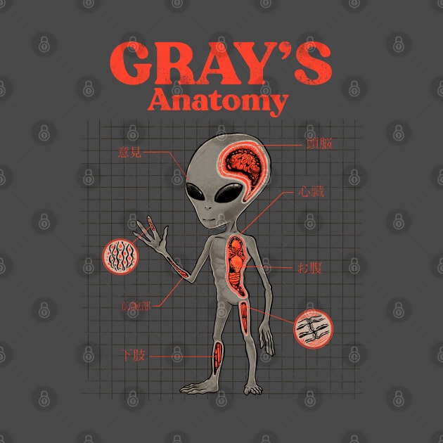 Gray's Anatomy by ppmid