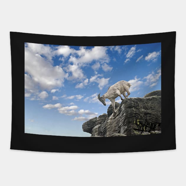 Rockclimbing Goat Tapestry by clearviewstock