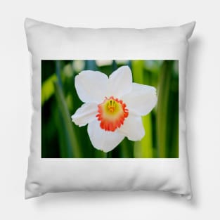 White Daffodil Pillow