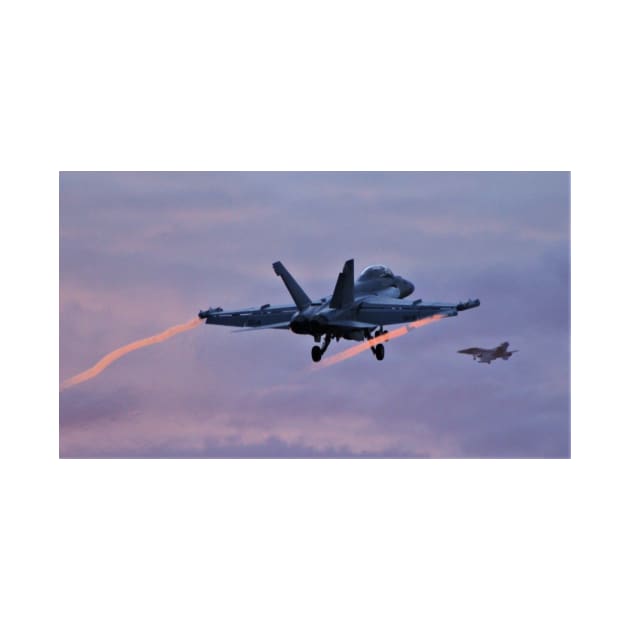 Navy Super Hornets at dusk by acefox1