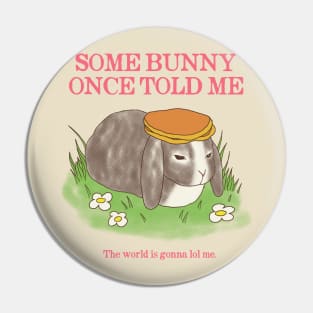 Somebunny Once Told Me Pin