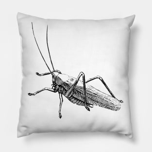 Dramabite Vintage grasshopper illustration Pillow