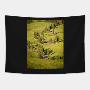 Line of cypress trees in bright sunlight Tapestry