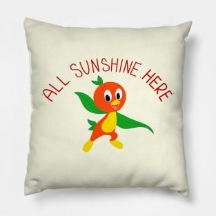 All. Sunshine here Pillow