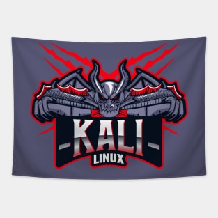 Backtrack Kali Linux Dragon Programming and Computer Tapestry