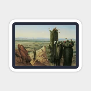 View from Maricopa Mountain Near the Rio Gila by Pratt Magnet