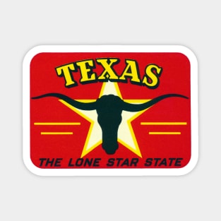 Texas, the Lone Star State Magnet