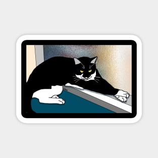 CUTE Tuxedo Cat resting on the window sill  Copyright TeAnne Magnet