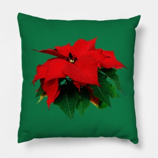 Poinsettias - Poinsettia and Leaves Pillow