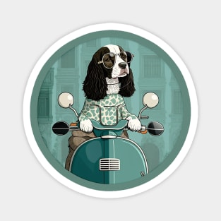 Super Cool Springer Spaniel on a Scooter 2 Magnet