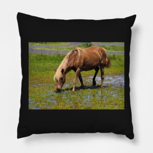 Assateague Pony Lunching on Watercress Salad Pillow