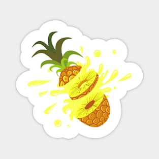 Anatomy of a Pineapple Magnet