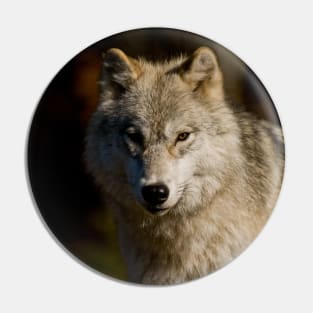 Arctic Wolf Pin