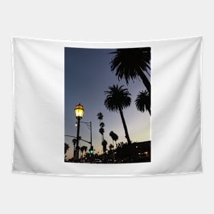 Santa Barbara Night Tapestry