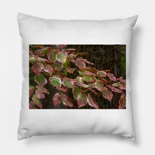 Liquid Dogwood Pillow