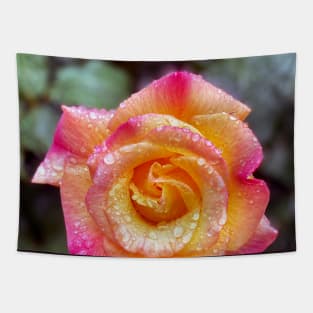 Multicolored Rose in Spring Rain Tapestry