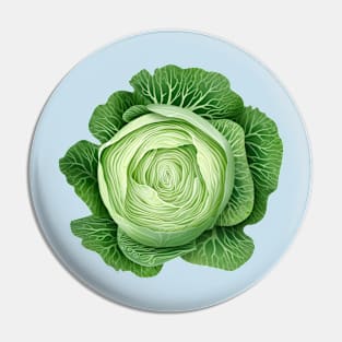 Illustration of cabbage Pin