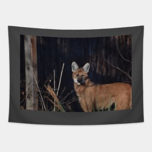 Maned Wolf Tapestry