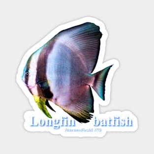 Longfin batfish Magnet