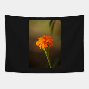 Marigold IV Tapestry