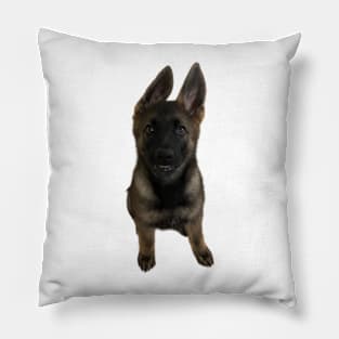 Koda Pillow