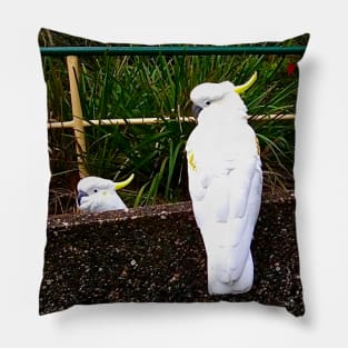 The Two Cockatoos! Pillow