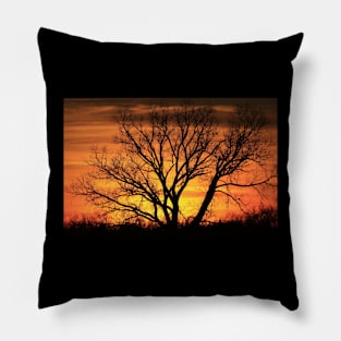 Blazing Sunset with a Tree silhouette Pillow