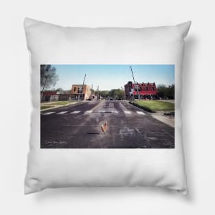 Why Did The Chicken Cross The Road.... - Graphic 1 Pillow