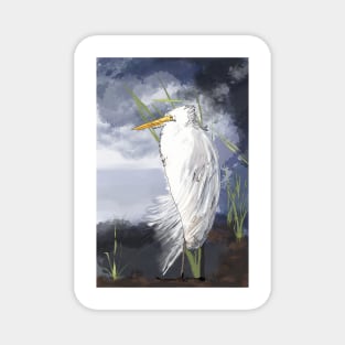 An Egret Huddles in the Storm Magnet