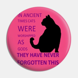 In Ancient Times Cats Were Worshipped As Gods v7 Pin