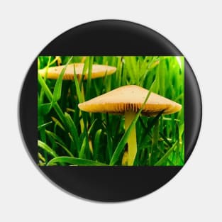 Mushroom Photography Print #5 Pin