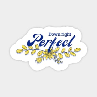 Down right perfect world Down syndrome day Magnet