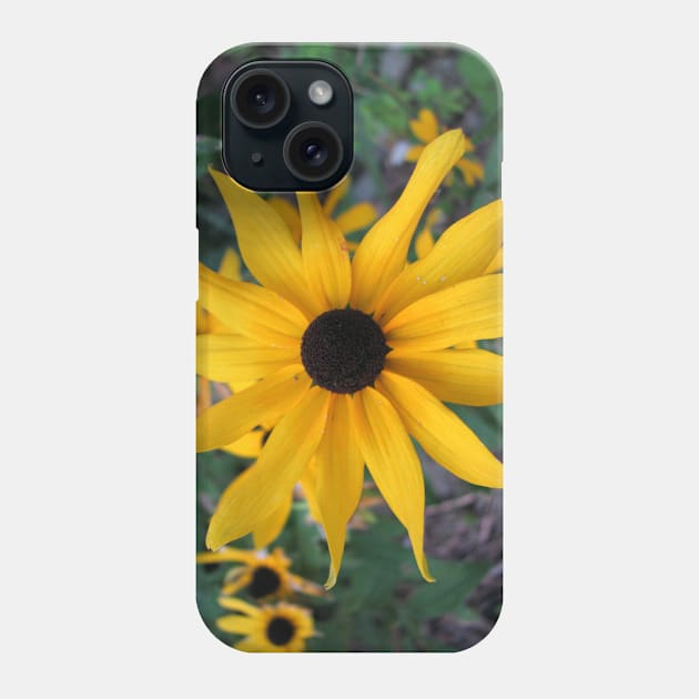 Blackeyed Susie Phone Case by ARTWORKandBEYOND