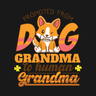 Promoted From Dog Grandma To Human Grandma T-Shirt