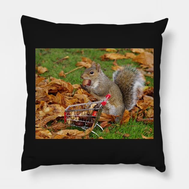 squirrel with shopping cart Pillow by Simon-dell