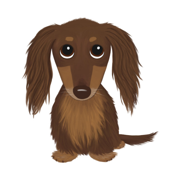 Long Haired Chocolate Brown Dachshund Cartoon Dog Dachshund Dog