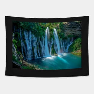 McArthur-Burney Falls Tapestry