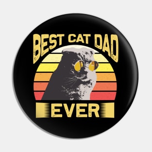 Best Cat Dad Ever Vintage Retro Sunset Pin