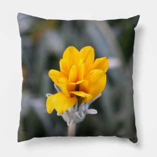 Yellow Flower Close-Up Photo Pillow