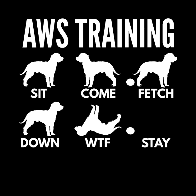 American Water Spaniel Training AWS Tricks by DoggyStyles