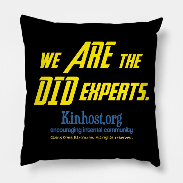 We ARE the DID Experts Pillow by Kinhost Pluralwear