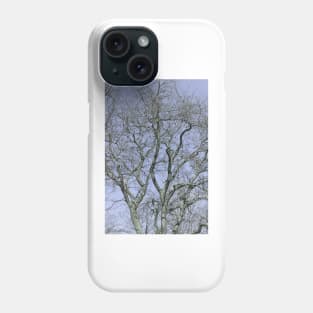 For The Love Of Trees - 2 © Phone Case