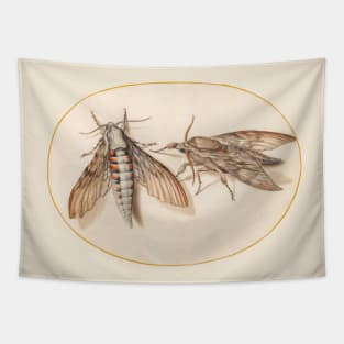 Two hawk moths, insect miniature by Joris Hoefnagel. Tapestry