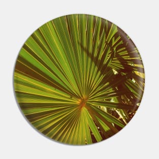 Tropical Palm Trees Pin